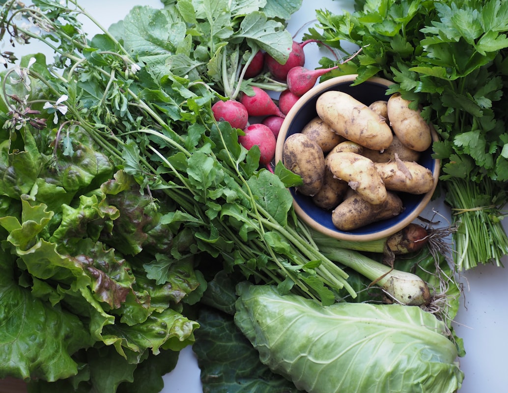 Misión de Neuropathy Nutrition Guide
